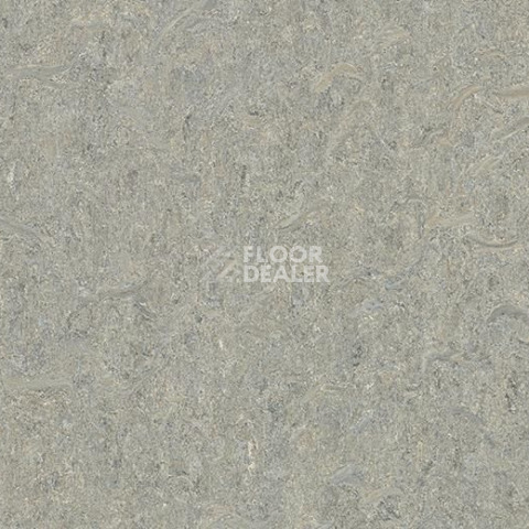 Линолеум Forbo Marmoleum Decibel on Order 580235 alpine mist фото 1 | FLOORDEALER